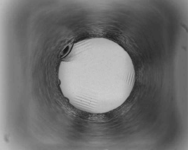 X0000099491201200806051051