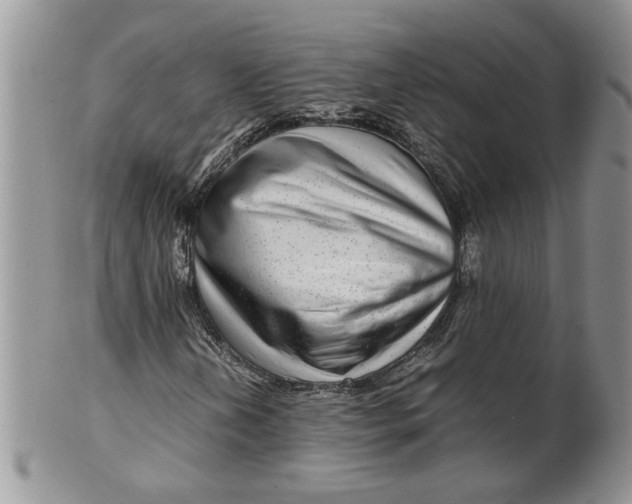 X0000099491202200806051051