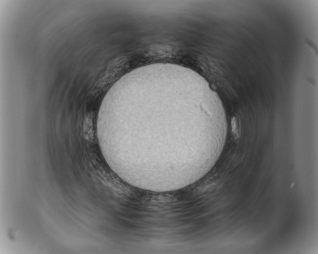 X0000099491203200806051051