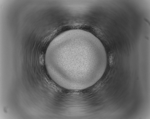 X0000099491204200806051051