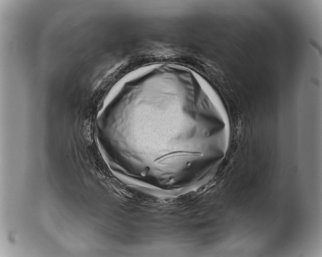 X0000099491205200806051051