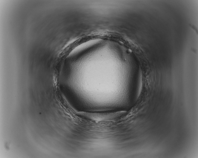 X0000099491206200806051051