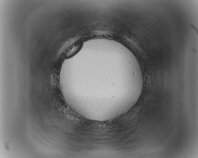 X0000099491207200806051051