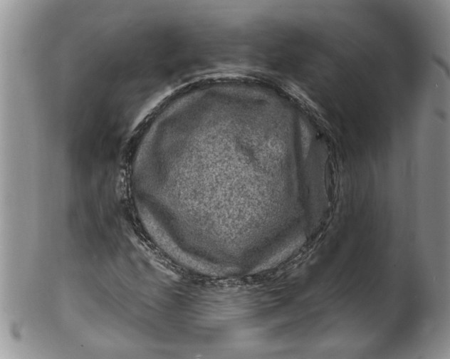 X0000099491208200806051051