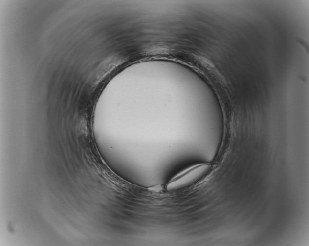 X0000099491209200806051051