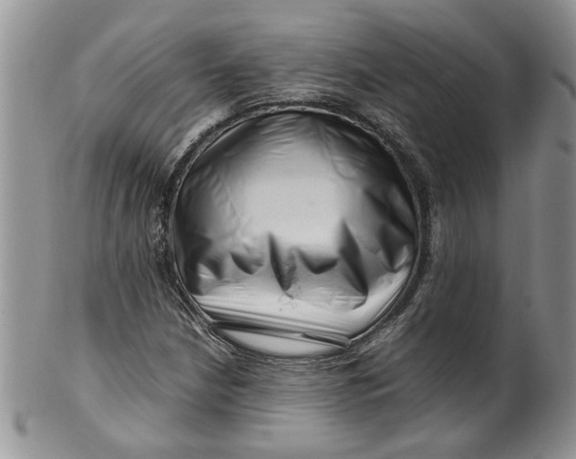 X0000099491210200806051051