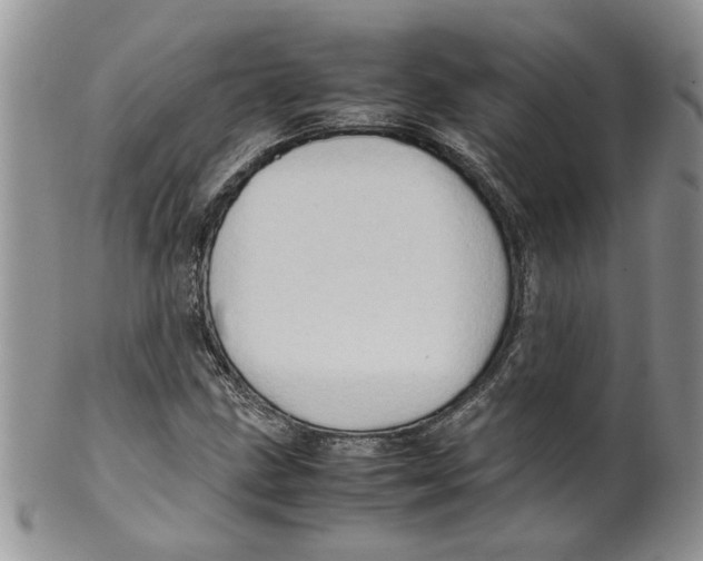 X0000099491211200806051051