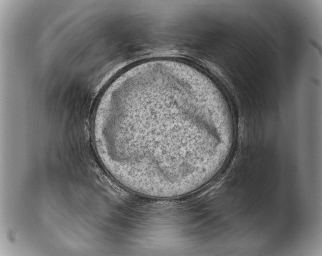 X0000099491212200806051051