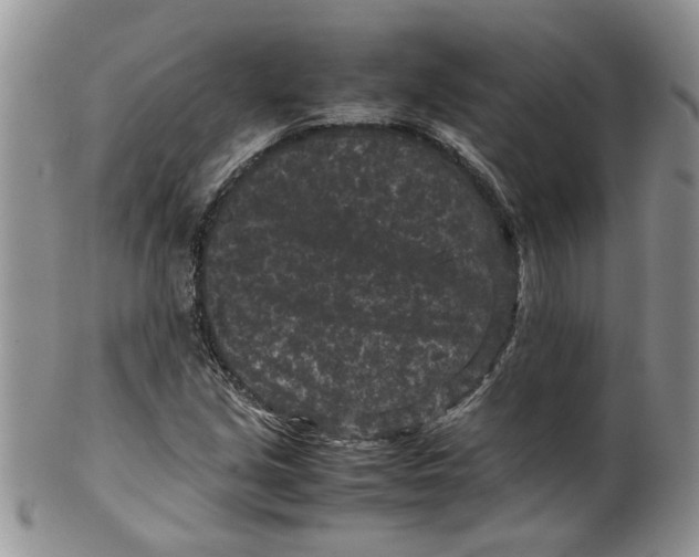 X0000099491213200806051051