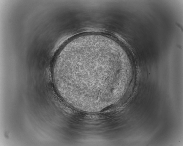 X0000099491215200806051051