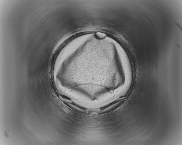 X0000099491216200806051051