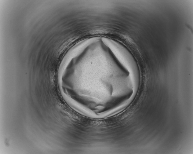 X0000099491217200806051051