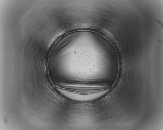 X0000099491218200806051051