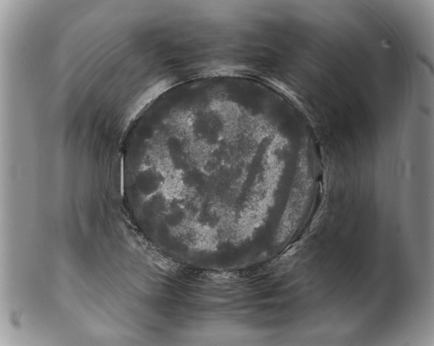 X0000099491219200806051051