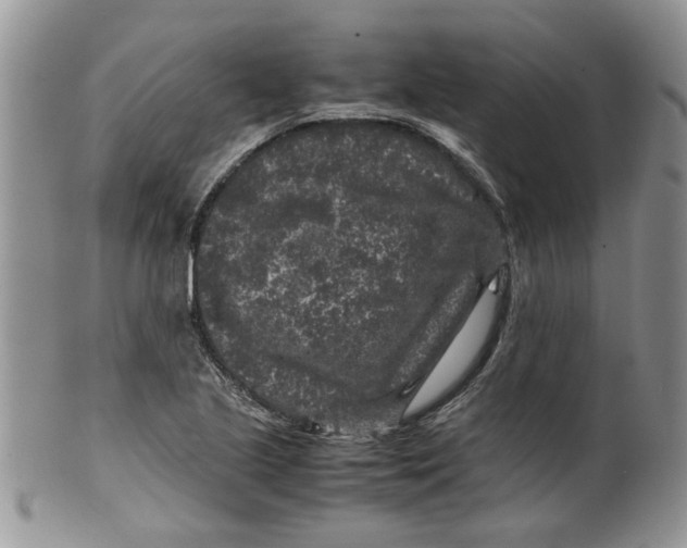 X0000099491221200806051051