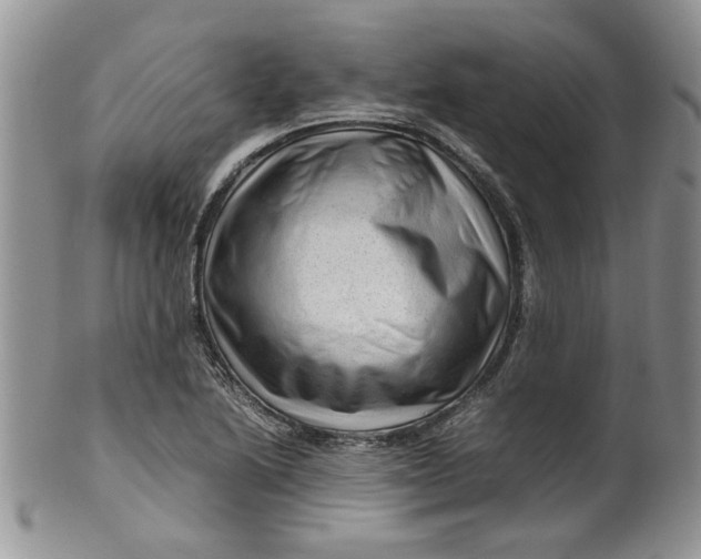 X0000099491222200806051051