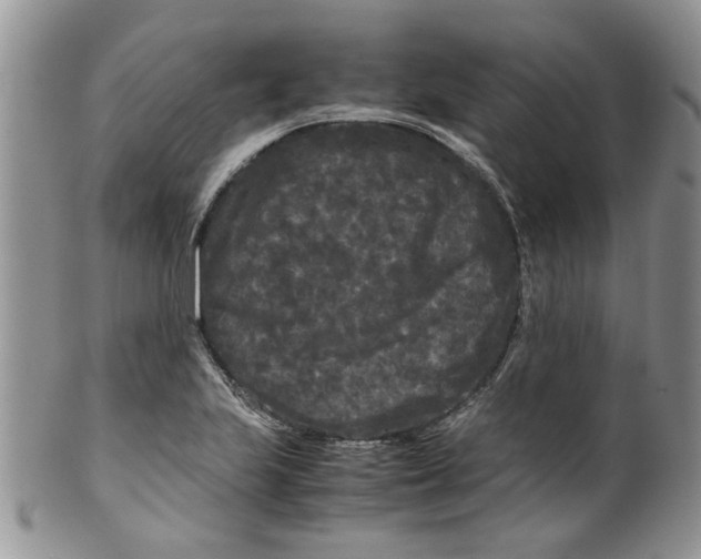 X0000099491223200806051051