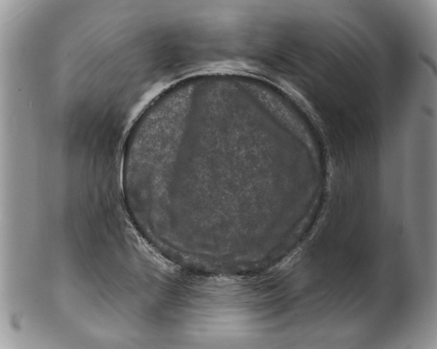 X0000099491224200806051051