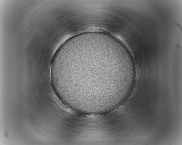 X0000099491227200806051051