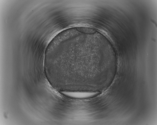 X0000099491228200806051051