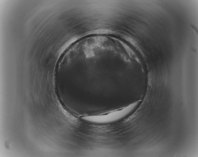 X0000099491229200806051051