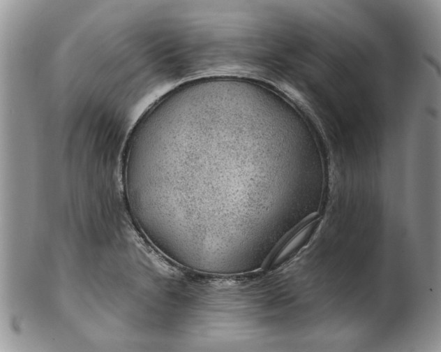 X0000099491230200806051051