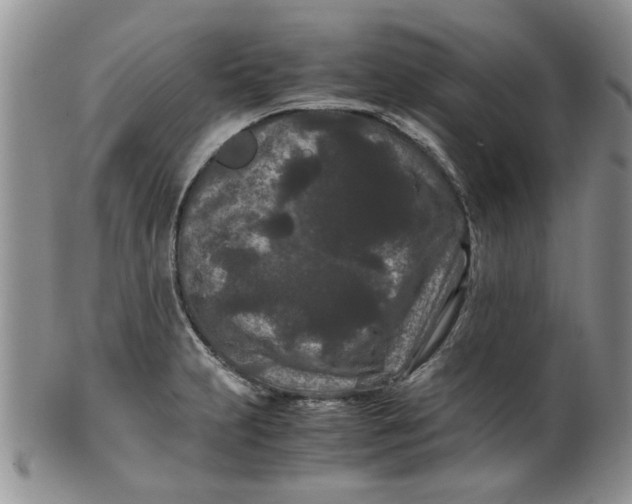 X0000099491231200806051051