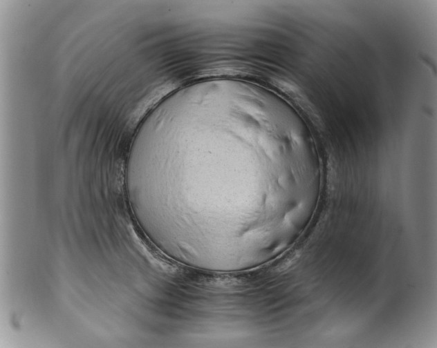 X0000099491233200806051051