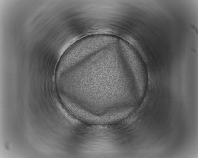 X0000099491234200806051051