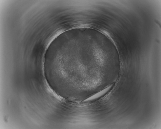 X0000099491235200806051051