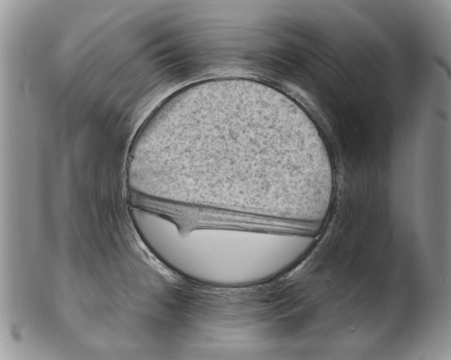 X0000099491236200806051051