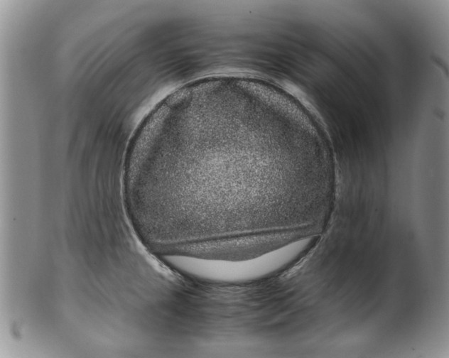 X0000099491237200806051051