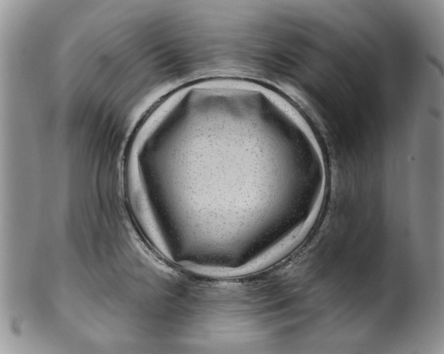 X0000099491238200806051051