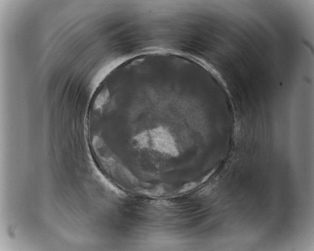 X0000099491239200806051051