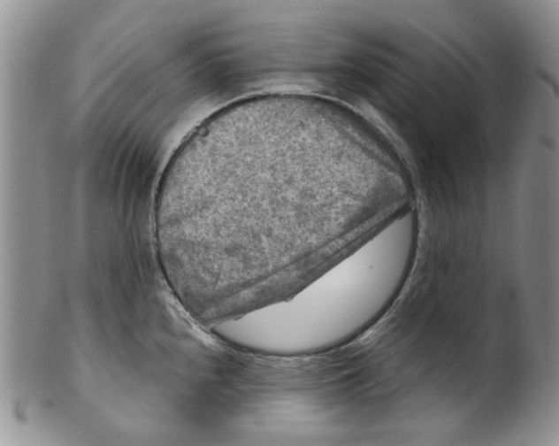 X0000099491240200806051051