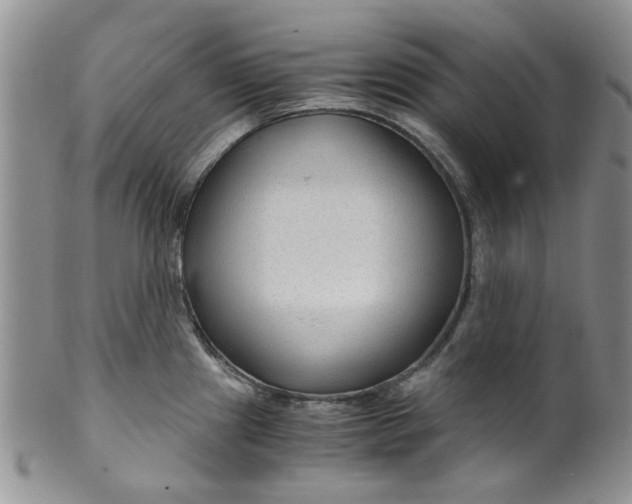 X0000099491241200806051051