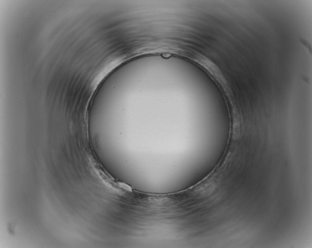 X0000099491242200806051051