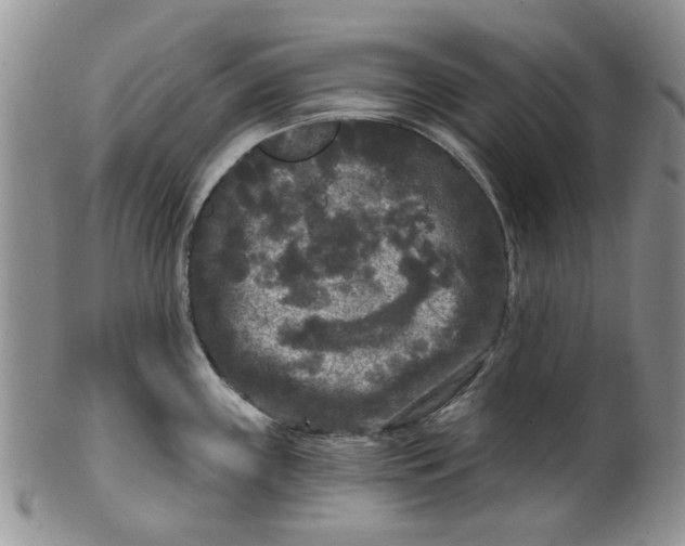 X0000099491243200806051051