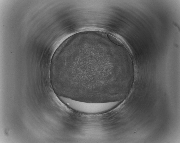 X0000099491244200806051051