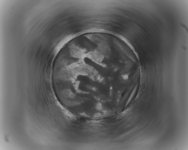 X0000099491245200806051051