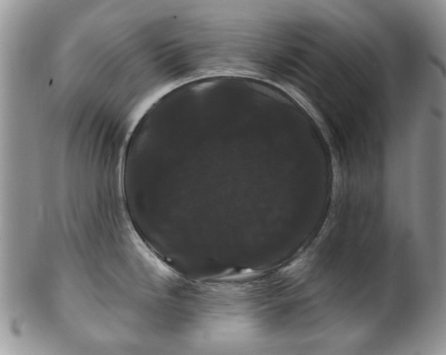 X0000099491246200806051051