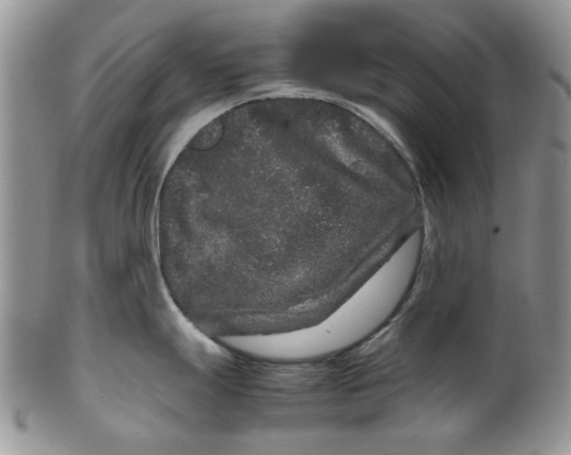 X0000099491247200806051051