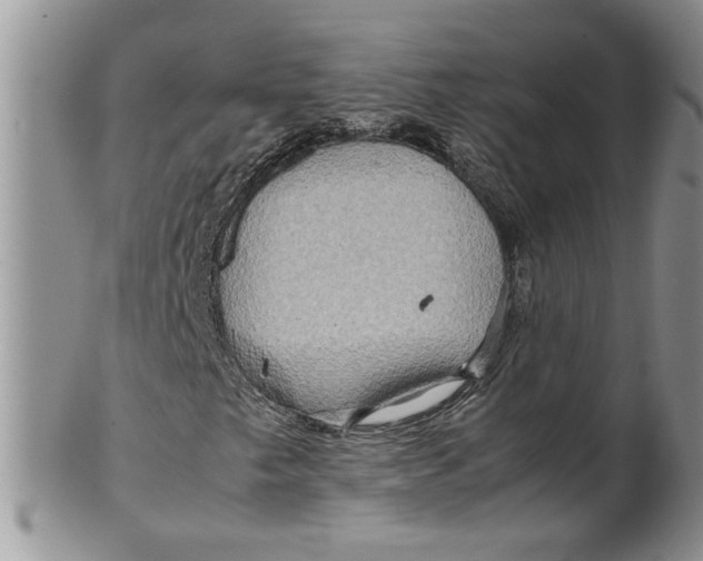 X0000099491249200806051051