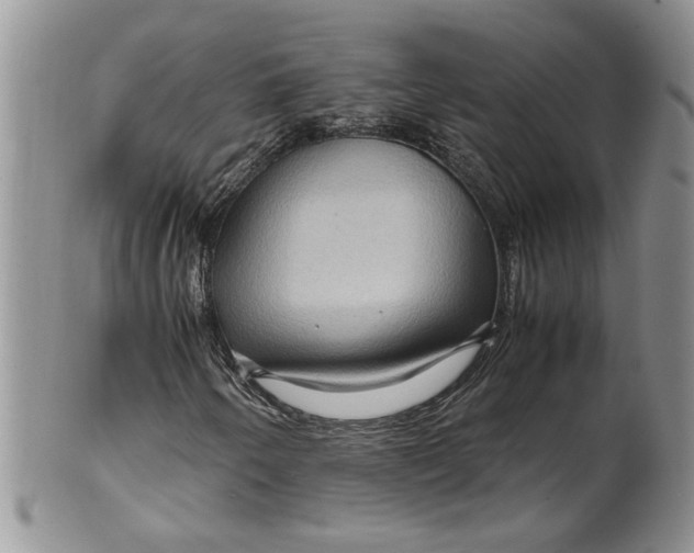 X0000099491250200806051051