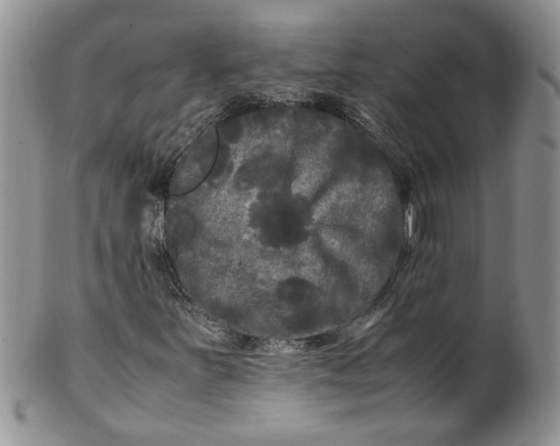 X0000099491251200806051051