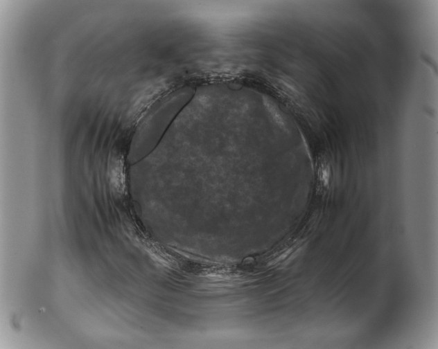 X0000099491252200806051051