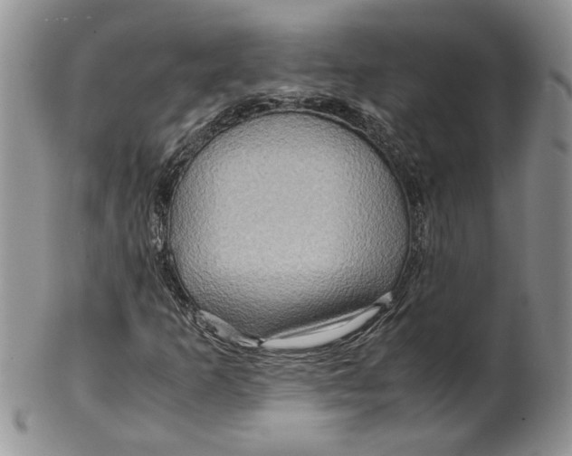 X0000099491253200806051051