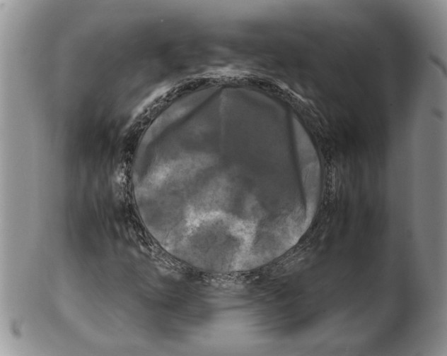 X0000099491254200806051051