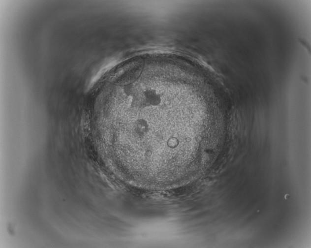 X0000099491255200806051051