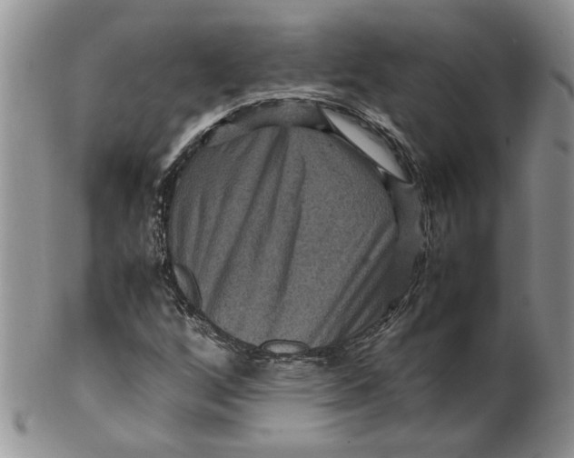 X0000099491256200806051051